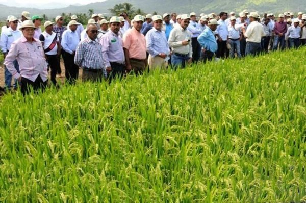 Agricultores de Arequipa en Paro Nacional | 13 de mayo 2019